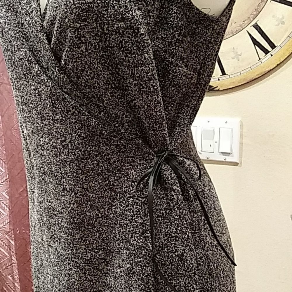Talbots Dress   - Picture 3 of 6